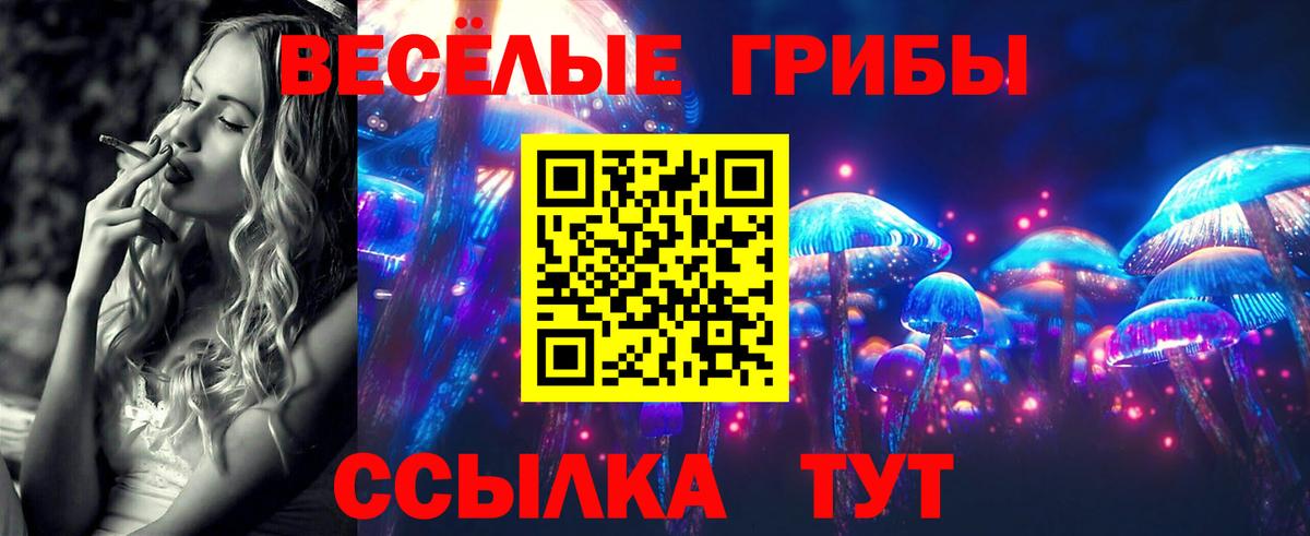 Сальск  Псилоцибиновые грибы Cubensis  Вход с VPN 